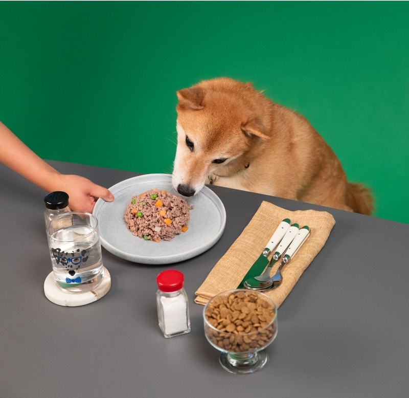 Dog Food Delivery I Kabo